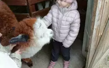 Wycieczka do zagrody w Zakrzewie - oddział III Motyle  66