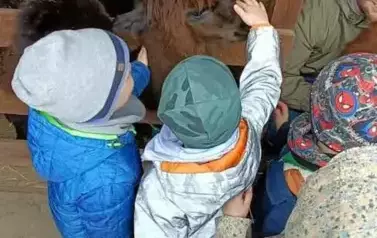 Wycieczka do zagrody w Zakrzewie - oddział III Motyle  67