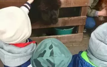 Wycieczka do zagrody w Zakrzewie - oddział III Motyle  68