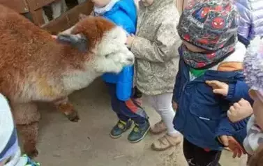 Wycieczka do zagrody w Zakrzewie - oddział III Motyle  69