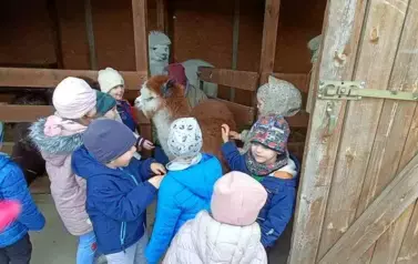 Wycieczka do zagrody w Zakrzewie - oddział III Motyle  71