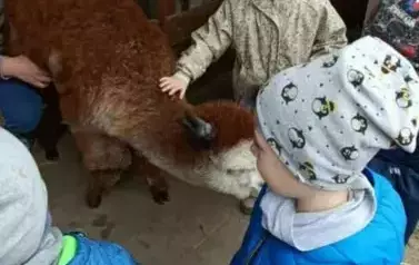 Wycieczka do zagrody w Zakrzewie - oddział III Motyle  73