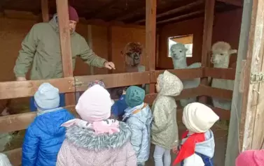 Wycieczka do zagrody w Zakrzewie - oddział III Motyle  75