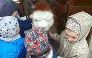 Wycieczka do zagrody w Zakrzewie - oddział III Motyle  77