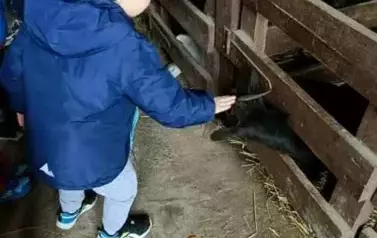 Wycieczka do zagrody w Zakrzewie - oddział III Motyle  80