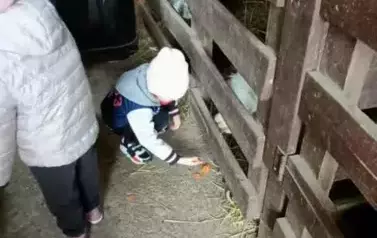 Wycieczka do zagrody w Zakrzewie - oddział III Motyle  83