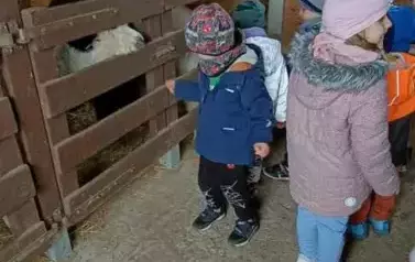 Wycieczka do zagrody w Zakrzewie - oddział III Motyle  84
