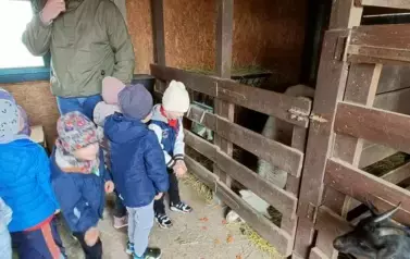 Wycieczka do zagrody w Zakrzewie - oddział III Motyle  88