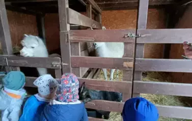 Wycieczka do zagrody w Zakrzewie - oddział III Motyle  91