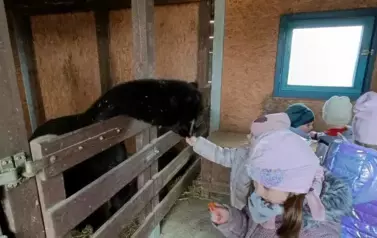 Wycieczka do zagrody w Zakrzewie - oddział III Motyle  94