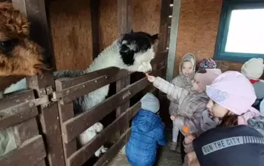 Wycieczka do zagrody w Zakrzewie - oddział III Motyle  95