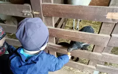 Wycieczka do zagrody w Zakrzewie - oddział III Motyle  96