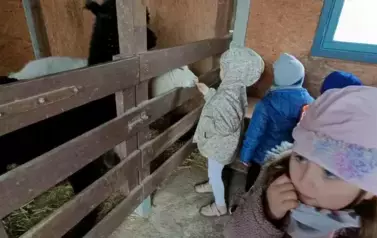 Wycieczka do zagrody w Zakrzewie - oddział III Motyle  98