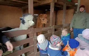 Wycieczka do zagrody w Zakrzewie - oddział III Motyle  99