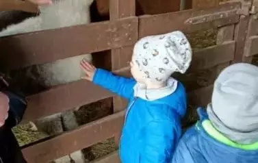 Wycieczka do zagrody w Zakrzewie - oddział III Motyle  100