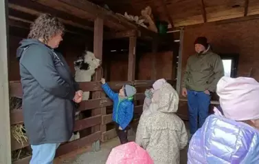 Wycieczka do zagrody w Zakrzewie - oddział III Motyle  104