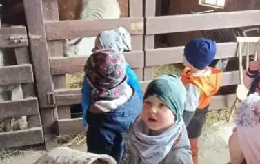Wycieczka do zagrody w Zakrzewie - oddział III Motyle  105