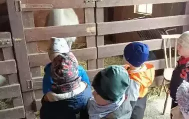 Wycieczka do zagrody w Zakrzewie - oddział III Motyle  106