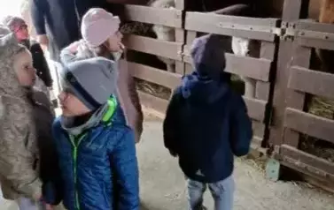 Wycieczka do zagrody w Zakrzewie - oddział III Motyle  109