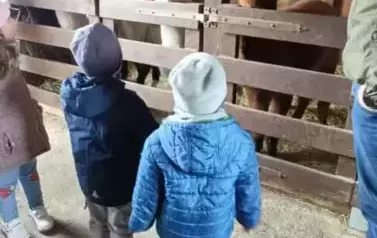 Wycieczka do zagrody w Zakrzewie - oddział III Motyle  112