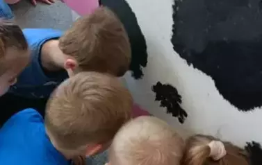 Wiosna na wsi - oddział III Motyle 4