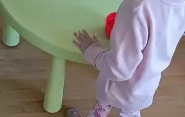 Wiosna na wsi - oddział III Motyle 20