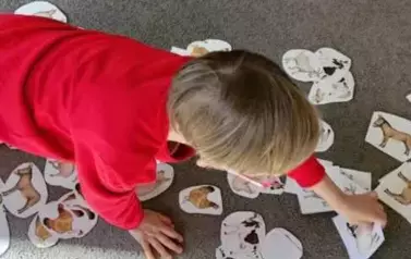 Wiosna na wsi - oddział III Motyle 143