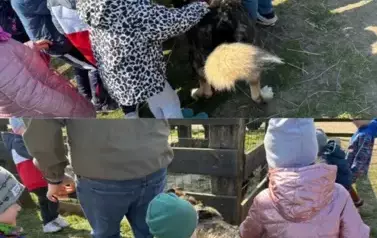 Zagroda w Zakrzewie- Wycieczka Oddział II Biedronki  7