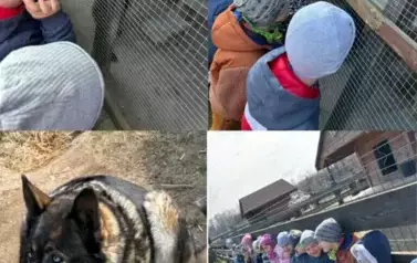Zagroda w Zakrzewie- Wycieczka Oddział II Biedronki  9
