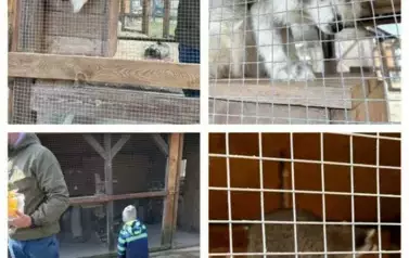 Zagroda w Zakrzewie- Wycieczka Oddział II Biedronki  10