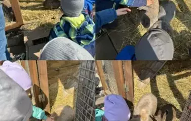 Zagroda w Zakrzewie- Wycieczka Oddział II Biedronki  12