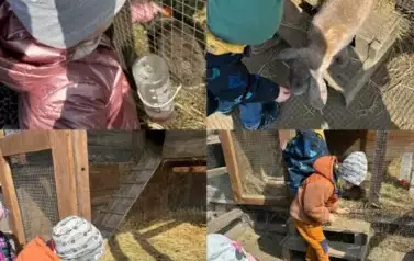 Zagroda w Zakrzewie- Wycieczka Oddział II Biedronki  14
