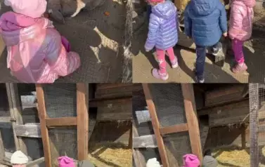 Zagroda w Zakrzewie- Wycieczka Oddział II Biedronki  16