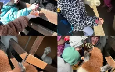 Zagroda w Zakrzewie- Wycieczka Oddział II Biedronki  17