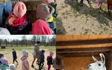 Zagroda w Zakrzewie- Wycieczka Oddział II Biedronki  19