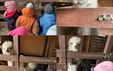 Zagroda w Zakrzewie- Wycieczka Oddział II Biedronki  20