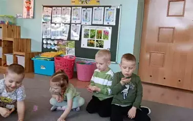 z Edumuz w logopedię - Motyle 17