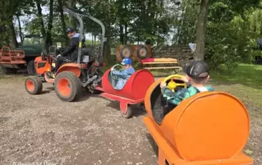 Wycieczka do Nieborowa oddział Motyle i Nutki 19