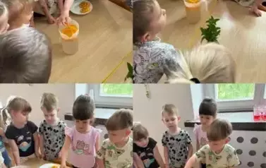 Oddział II Biedronki- 20 krok&oacute;w do lata- projekt edukacyjny  12