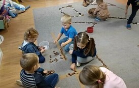 Śladami dzikich zwierząt - Oddział III Motyle 3