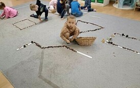 Śladami dzikich zwierząt - Oddział III Motyle 6