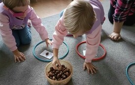 Śladami dzikich zwierząt - Oddział III Motyle 26