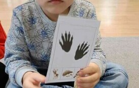 Śladami dzikich zwierząt - Oddział III Motyle 61
