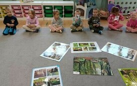 Śladami dzikich zwierząt - Oddział III Motyle 66