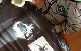 Dino.. dino.. dinozaury - tydzień z dinozaurami oddział III Motyle 62