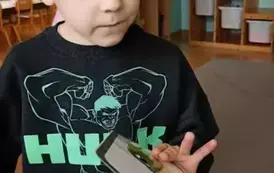 Dino.. dino.. dinozaury - tydzień z dinozaurami oddział III Motyle 86