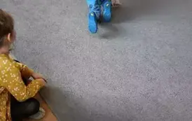 Dino.. dino.. dinozaury - tydzień z dinozaurami oddział III Motyle 123