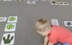 Dino.. dino.. dinozaury - tydzień z dinozaurami oddział III Motyle 126