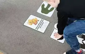 Dino.. dino.. dinozaury - tydzień z dinozaurami oddział III Motyle 127