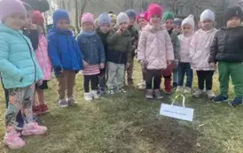 Sadzimy drzewka w naszym ogrodzie przedszkolnym 19